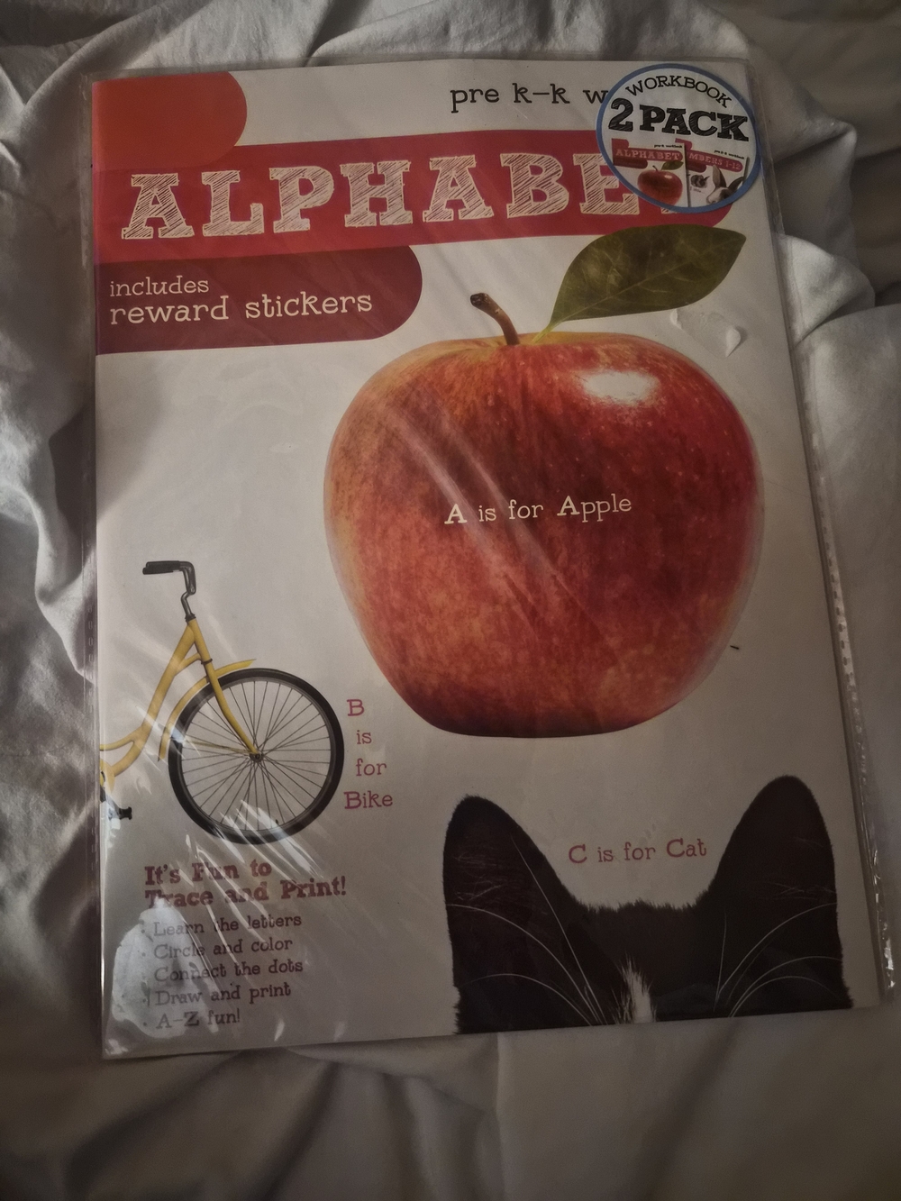 Pre K Workbook Bundle Alphabet Numbers Math Concepts Sealed